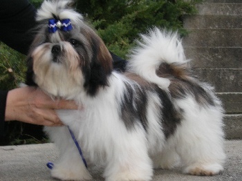 Floy play boy du domaine des varennes